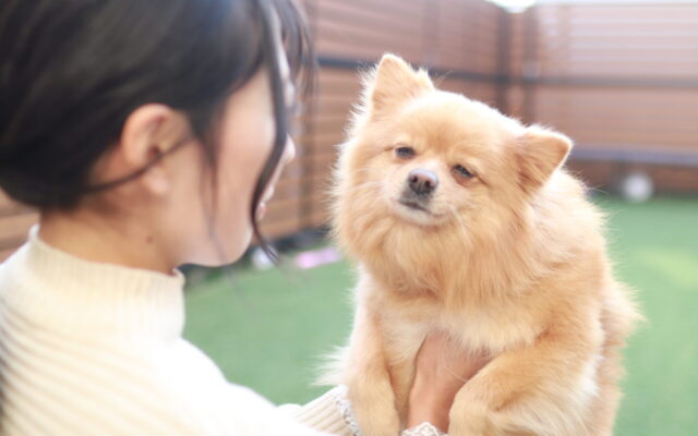 ハナサカライフの理念を表す犬と人の健やかな暮らしイメージ