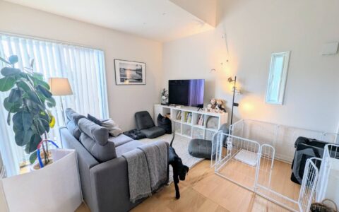 犬猫と快適に暮らすヒアリングイメージ