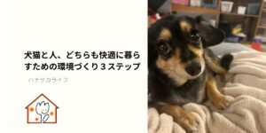 犬猫と人が安心して暮らせる環境づくりをテーマにした記事のアイキャッチ画像。犬が毛布の上でくつろいでいる様子。