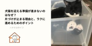 透明な収納ケースの中でくつろぐ白黒の猫。片づけが進まない原因や準備の大切さを象徴するイメージ。