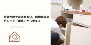 動物病院のバックヤードで収納を確認する獣医師の様子