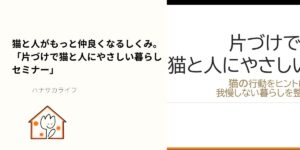 片づけで猫と人にやさしい暮らしセミナーの告知画像